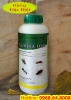 Ginger 10SC (1 Lít)  - (Hàng của ẤN ĐỘ) - Thuốc diệt côn trùng, muỗi, gián, ruồi, kiến, bọ chét... - anh 1