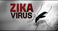 Virus Zika hoành hành ở Singapore, Bộ Y tế họp bàn ứng phó với thảm họa này